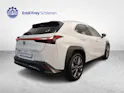 Lexus UX 300h F-Line