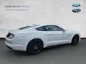 Ford Mustang Coupé 5.0 V8 GT