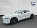 Ford Mustang Coupé 5.0 V8 GT