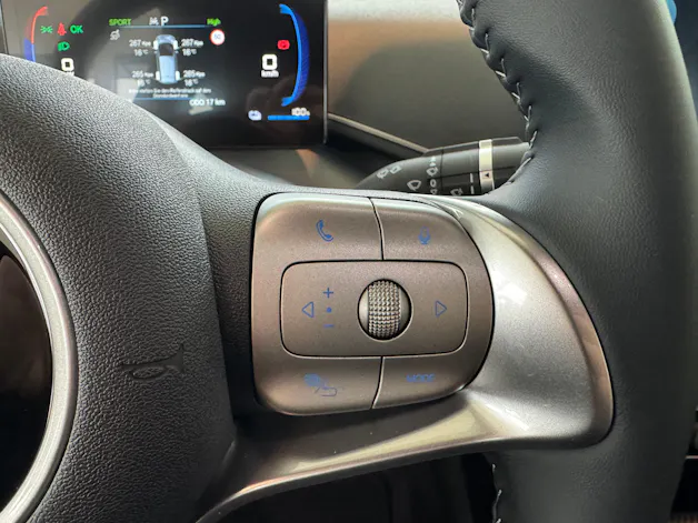 BYD Dolphin Surf 43 kWh Boos