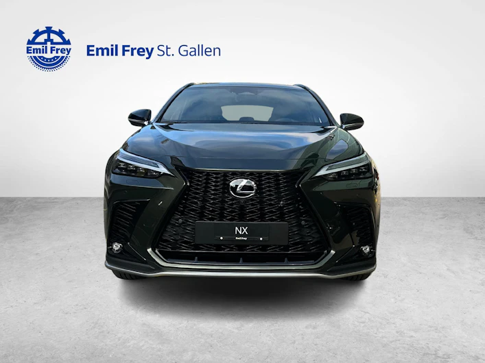Fahrzeugbild LEXUS NX