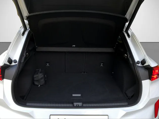 Cupra Terramar 2.0 TSI VZ 4Drive DSG