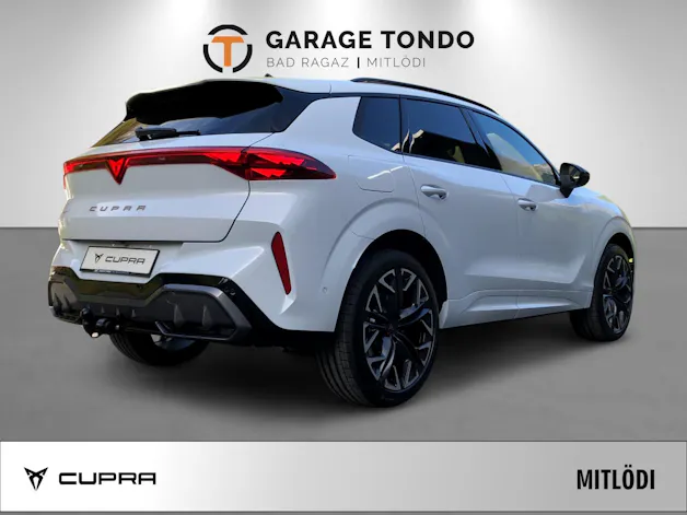 Cupra Terramar 2.0 TSI VZ 4Drive DSG
