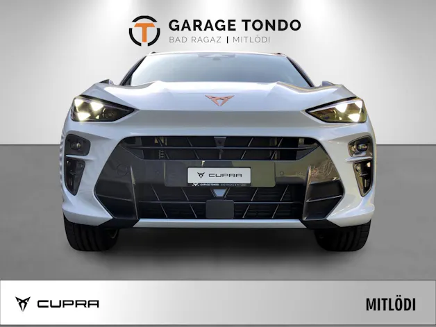 Cupra Terramar 2.0 TSI VZ 4Drive DSG