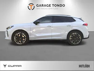 Cupra Terramar 2.0 TSI VZ 4Drive DSG