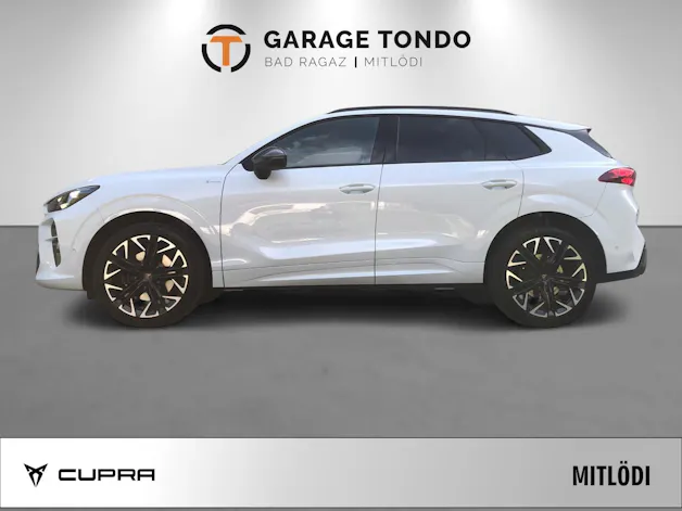 Cupra Terramar 2.0 TSI VZ 4Drive DSG