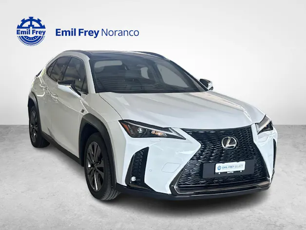 Lexus UX 300h F-Line - Ruote invernali incluse