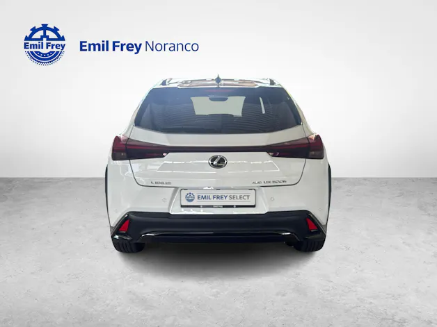 Lexus UX 300h F-Line - Ruote invernali incluse