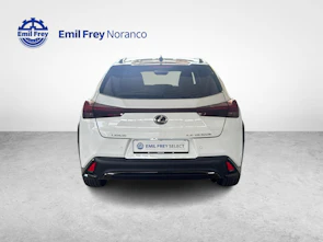 immagine del veicolo LEXUS UX 300h F-Line - Ruote invernali incluse