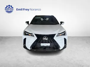 Lexus UX 300h F-Line - Ruote invernali incluse