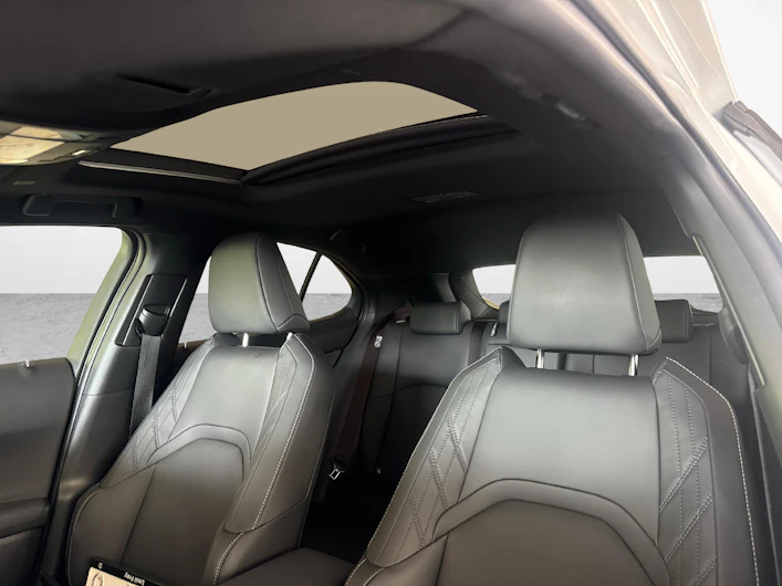 immagine del veicolo LEXUS UX
