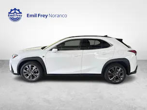 Lexus UX 300h F-Line - Ruote invernali incluse