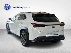 immagine del veicolo LEXUS UX 300h F-Line - Ruote invernali incluse