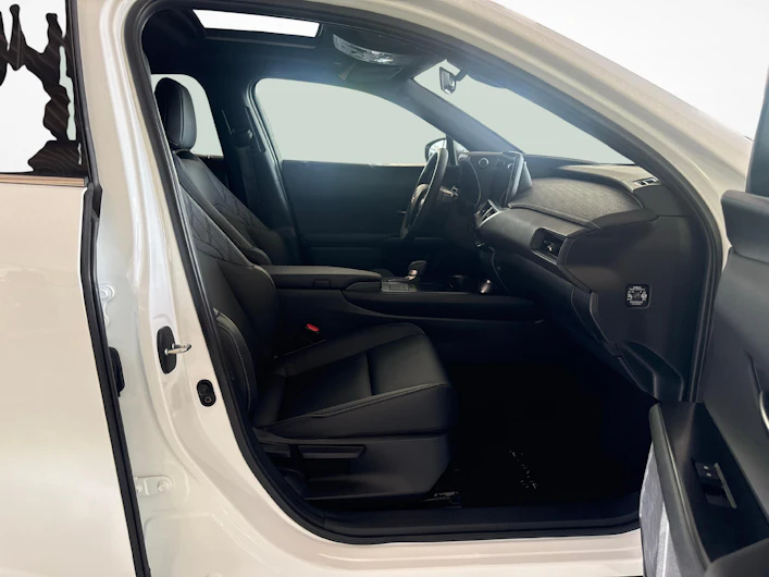 immagine del veicolo LEXUS UX