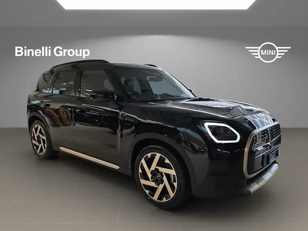 Mini Countryman E