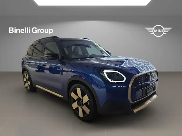 Mini Countryman E