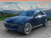 Porsche Cayenne E-Hybrid 3.0 V6 Turbo Benzin