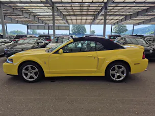 Ford Kompressor 400PS