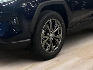 Toyota RAV4 2.5 HEV Trend