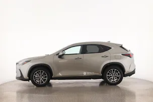 Lexus NX 350h Business