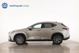 Lexus NX 350h Business