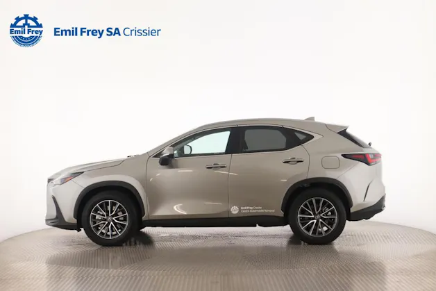 Lexus NX 350h Business