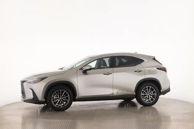 Lexus NX 350h Business