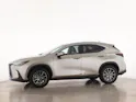 Lexus NX 350h Business