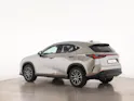 Lexus NX 350h Business