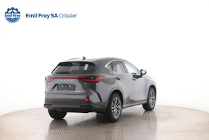 immagine del veicolo LEXUS NX 350h Comfort