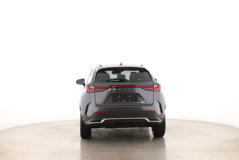 Fahrzeugbild LEXUS NX
