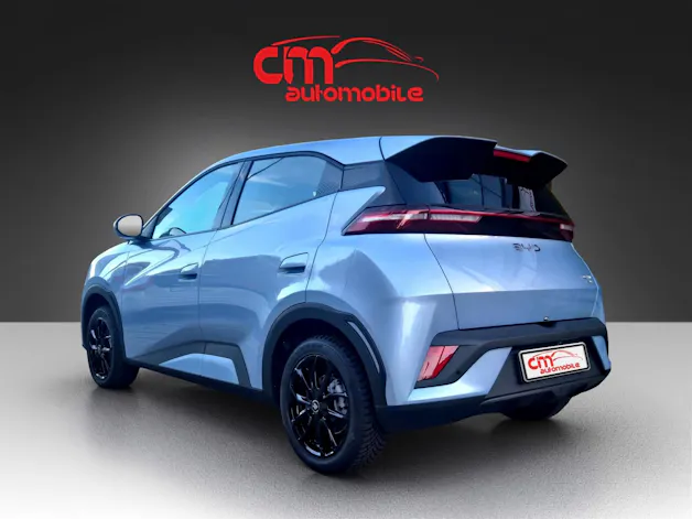 BYD Dolphin Surf 30 kWh Active