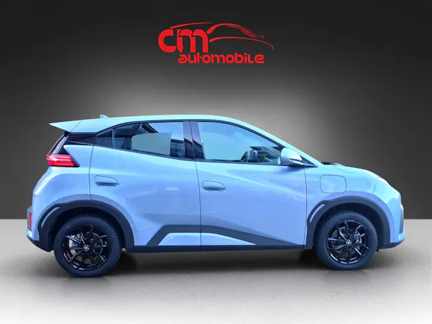 BYD Dolphin Surf 30 kWh Active