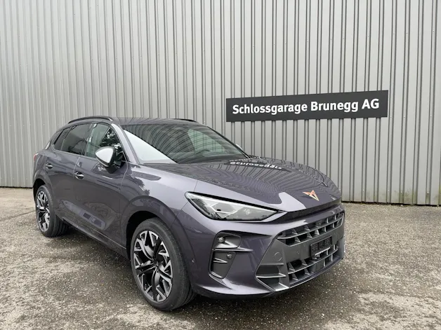 Cupra Terramar 2.0 TSI DSG 4Drive VZ