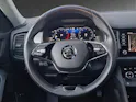 Škoda Kodiaq 2.0 TSI 4x4 Clever