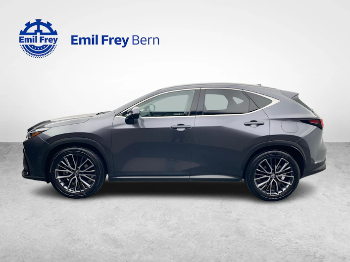 Fahrzeugbild LEXUS NX