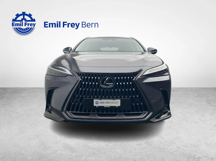 Fahrzeugbild LEXUS NX