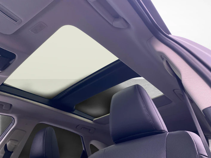 Fahrzeugbild LEXUS NX