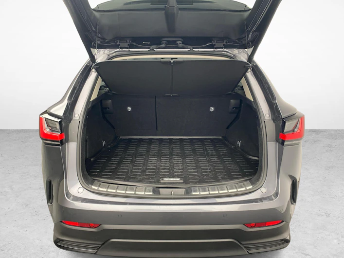 Fahrzeugbild LEXUS NX