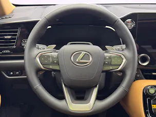Lexus NX 450h+ Excellence