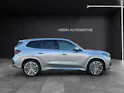 BMW X1 30e xDrive paddles