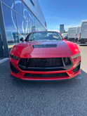 Ford Mustang Convertible 5.0 V8 GT