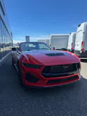 Ford Mustang Convertible 5.0 V8 GT