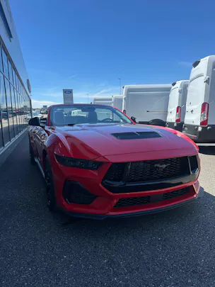 Ford Mustang Convertible 5.0 V8 GT