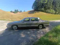 Cadillac Basis