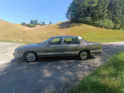 Cadillac Basis