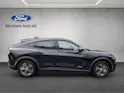 Ford Mustang Mach-E Standard