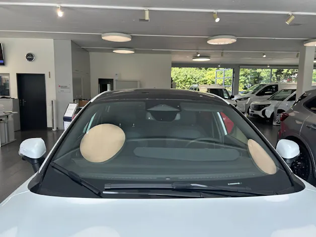 Ford Puma 1.0 EcoB Hybrid 125 ST-Line X