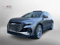 Audi Q4 e-tron 45 Edition Swiss Ski quattro