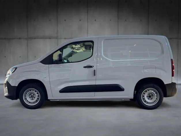 Fiat Doblo 1.2 PureTech EASY PRO Verglast